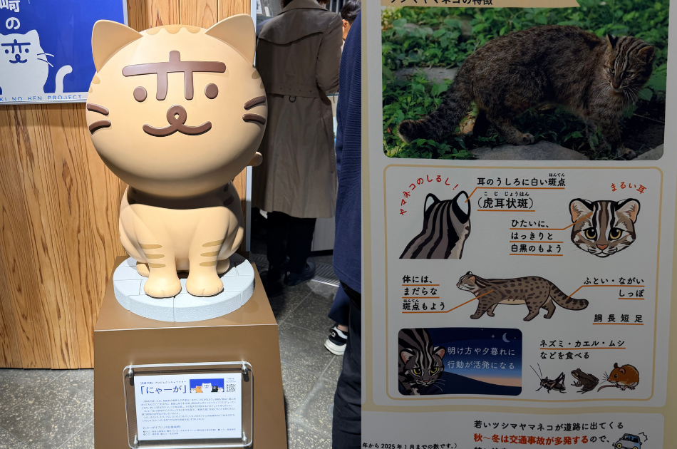 Tsushima leopard cat statue and information on the airport of Tsushima