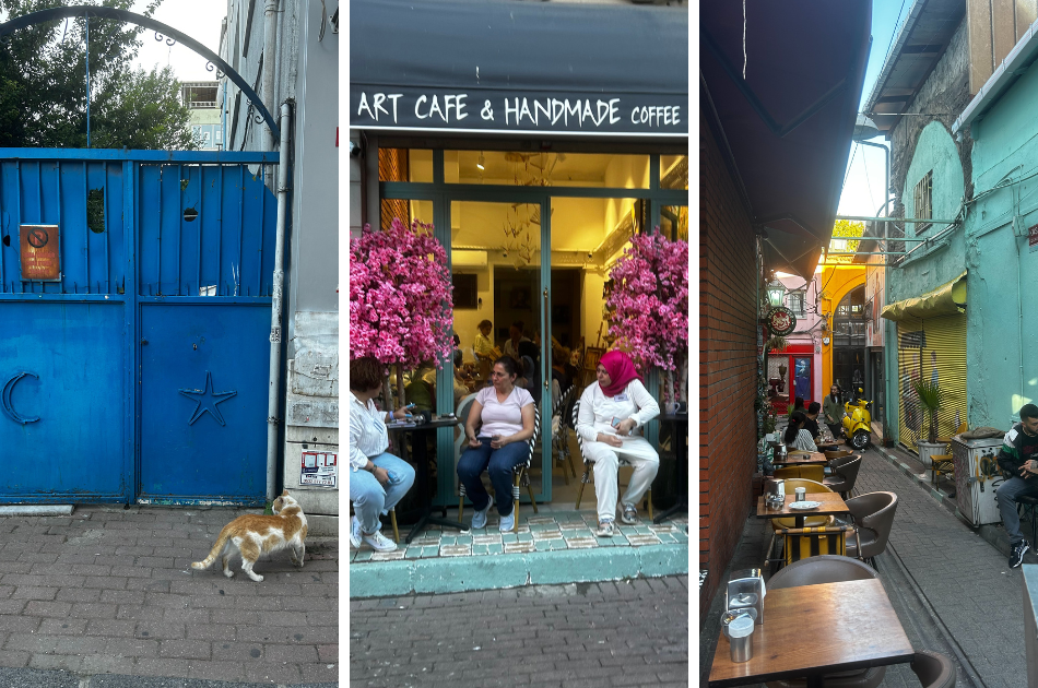 Walking downtown Istanbul to see culture and cats